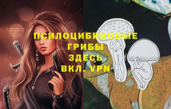 ALPHA PVP Алексин