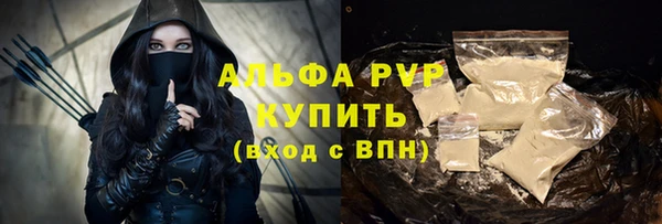 стаф Алзамай