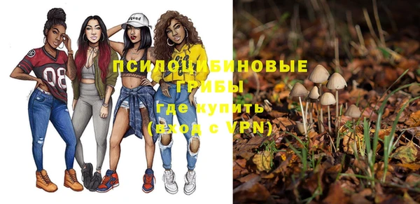 стаф Алзамай