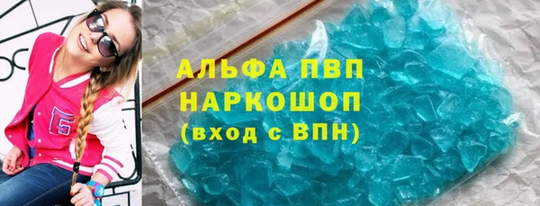стаф Алзамай