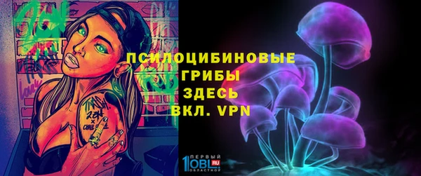 твердый Алексеевка