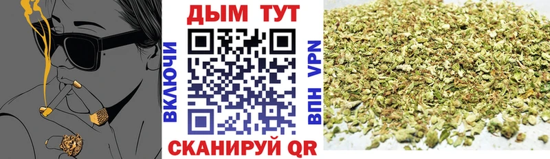 Каннабис сатива  купить наркотики сайты  Уфа 